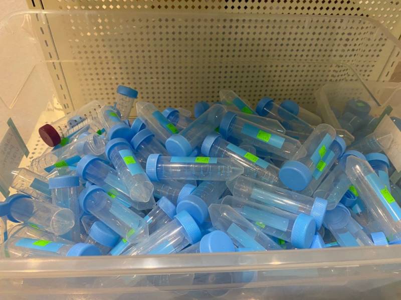 Image: A large plastic bin of small plastic vials with blue lids. Photo by Julie McClure.