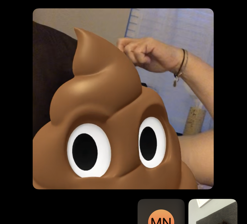 A screenshot image of a FaceTime call using animoji. The caller has used a poop emoji instead of their face; a human arm appears to stratch the top of the poop swirl. Photo by Jessica Hammie. 