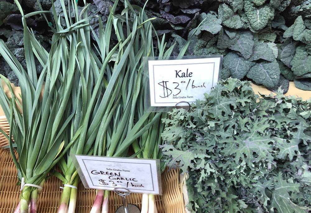 Two types of kale and green garlic are in wicker baskets on a table. There are two small signs that indicate the product, and that each bunch is $3. Photo by Jessica Hammie. 