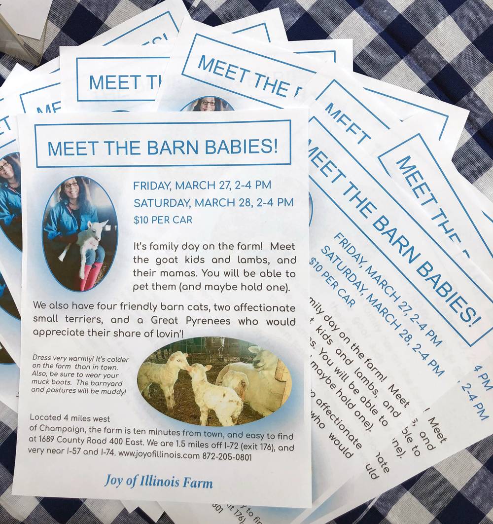 A photo of flyers for Joy of Illinois Farm's Meet the Barn Babies event. The flyers are fanned out on table with a blue check table cloth. The flyer pictures photos of baby goats and a description of the event. Directions to the farm are included at the bottom of the page. Photo by Jessica Hammie. 