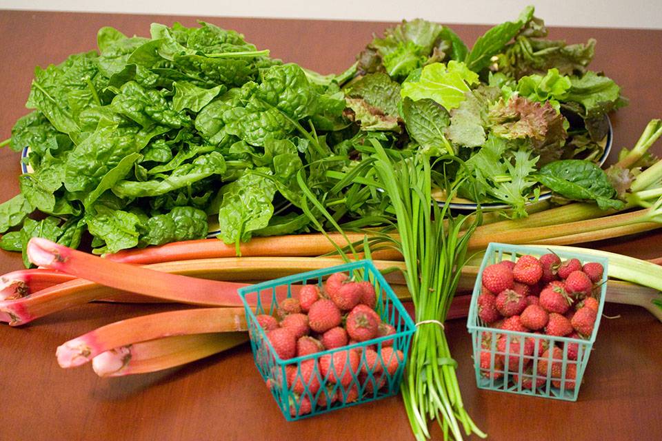 A haul of produce lays on a wooden table: a small basket of raspberries, a small bundle of chives, a small basket of strawberries, a bundle of rhubarb, a large pile of spinach leaves, and a large salad mix. Photo from Brackett Farm's website.