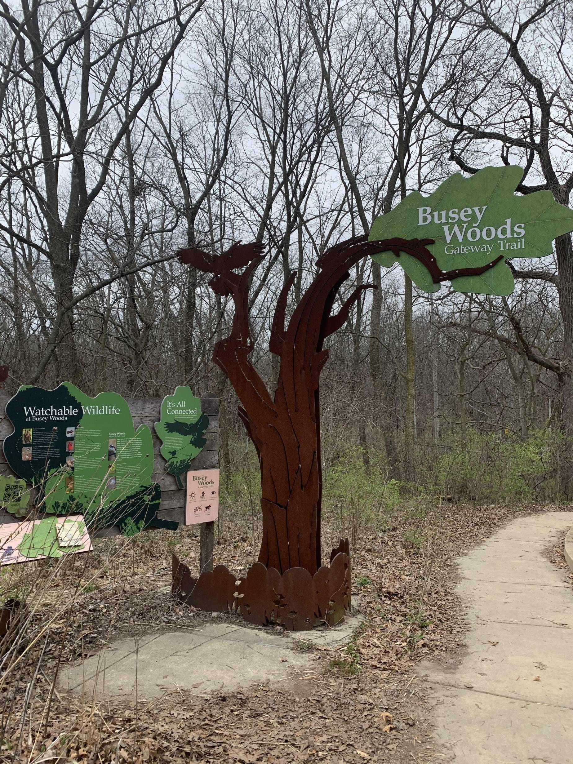 The entrance to Busey Woods. There is a sign that is a tree with a brown trunk and a large green leaf that says Busey Woods Gateway Trail in white letters. There is signage that explains its history and the flora and fauna that live there. A sidewalk veers to the right of the sign and there are trees with bare branches in the background. Photo by Seth Fein