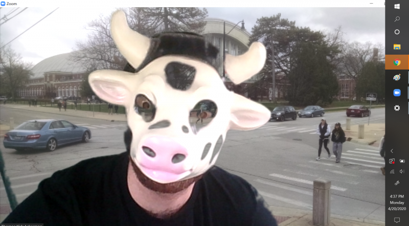 A screenshot of the author in front of the intersection background wearing a cow mask that is white with black spots. Image by Tom Ackerman.