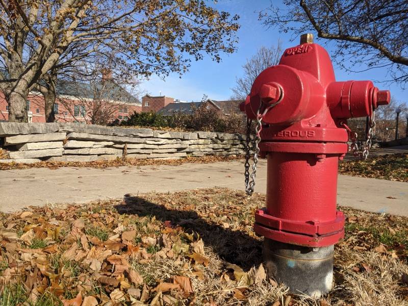 A close up of a red fire hydrant at ground level. It's sitting in a patch of grass covered in brown leaves. There is a sidewalk and stone wall in the background. Photo by Tom Ackerman.