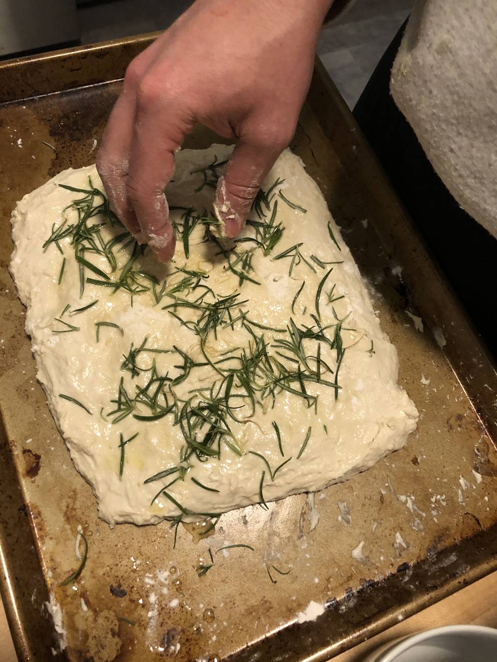 Unbaked focaccia bread on a sheet pan topped with a lot of rosemary. A hand hovers over the bread. Photo by Carly McCrory-McKay. 