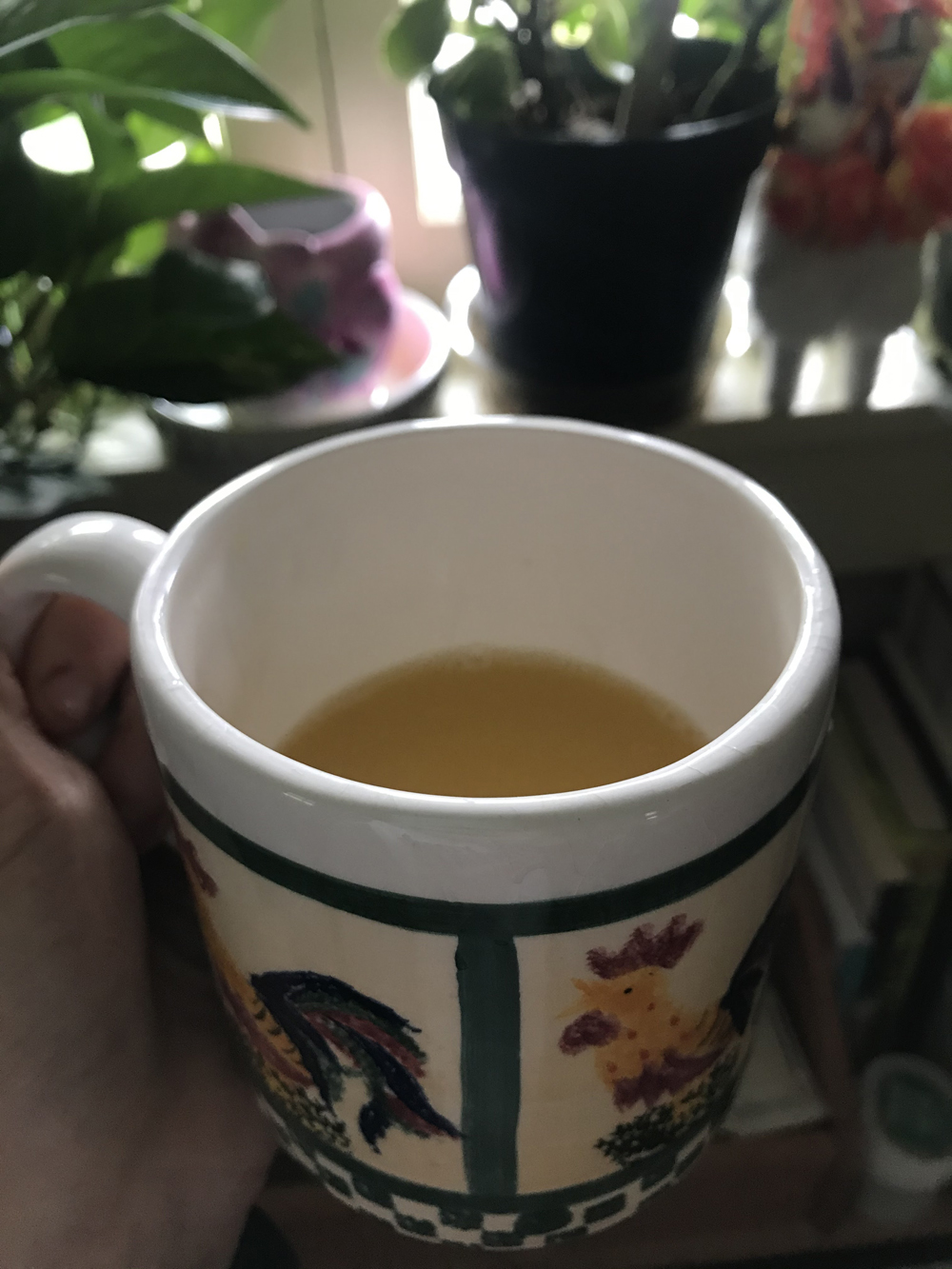 A coffee mug with orange juice inside is being held in the left hand of a person. In the background are indoor plants. Photo by Darya Shahgheibi. 	