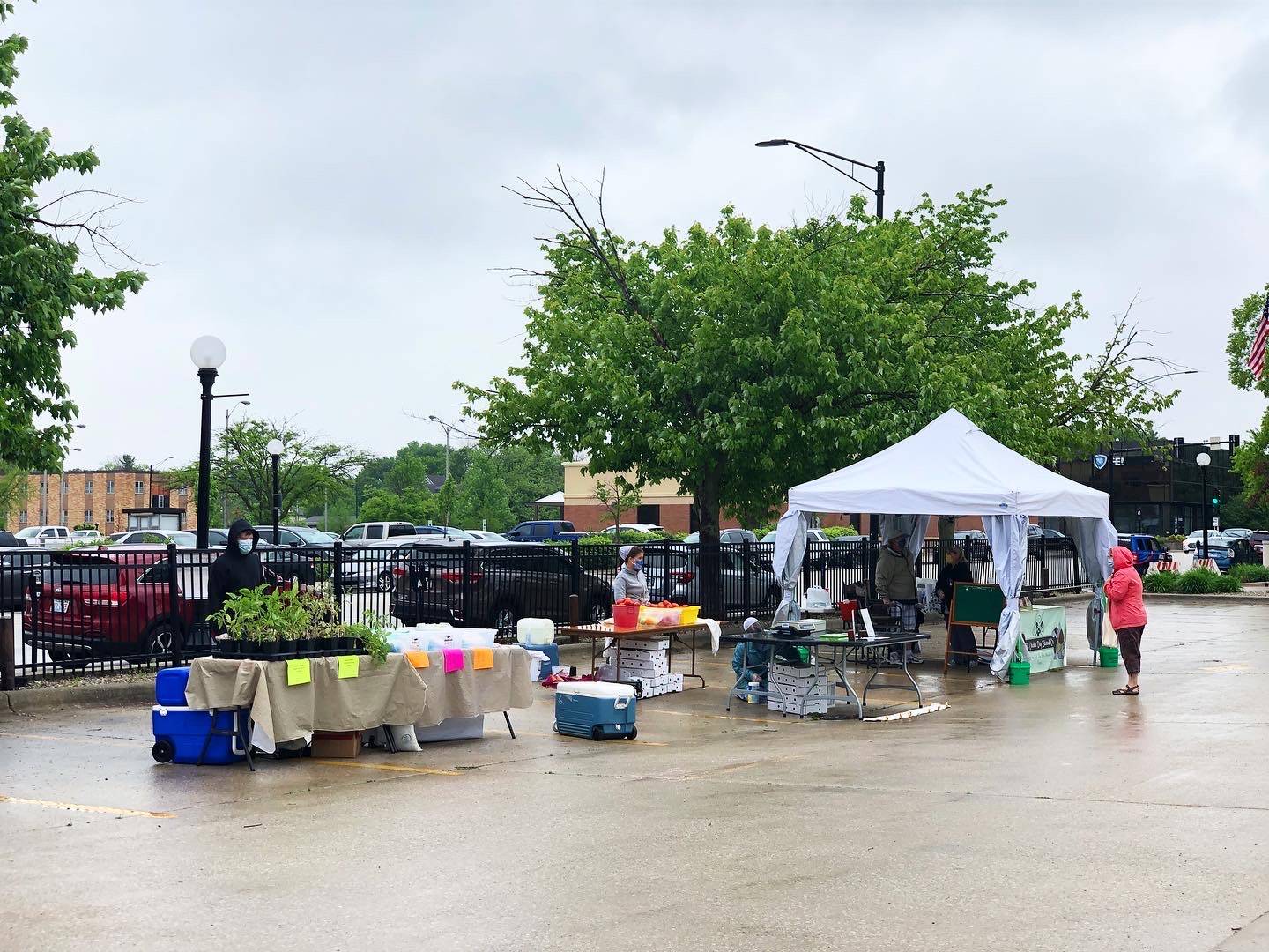 Outdoor Tuesday farmers' market in Champaign. Photo by Alyssa Buckley.
