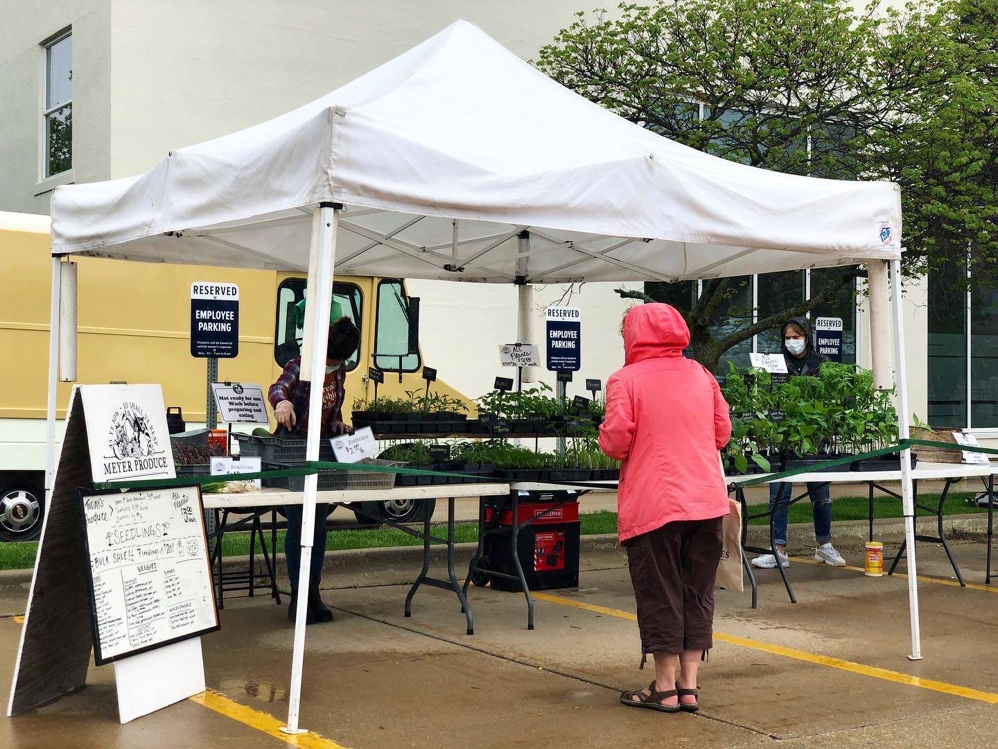 A shopper stands in front of Meyer Produce at the Champaign Tuesday farmers' market. Photo by Alyssa Buckley.