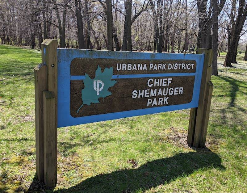 A wooden sign that says Urbana Park District Chief Shemauger Park. It sits in a grassy field with a row of trees in the background. Photo by Katriena Knights.