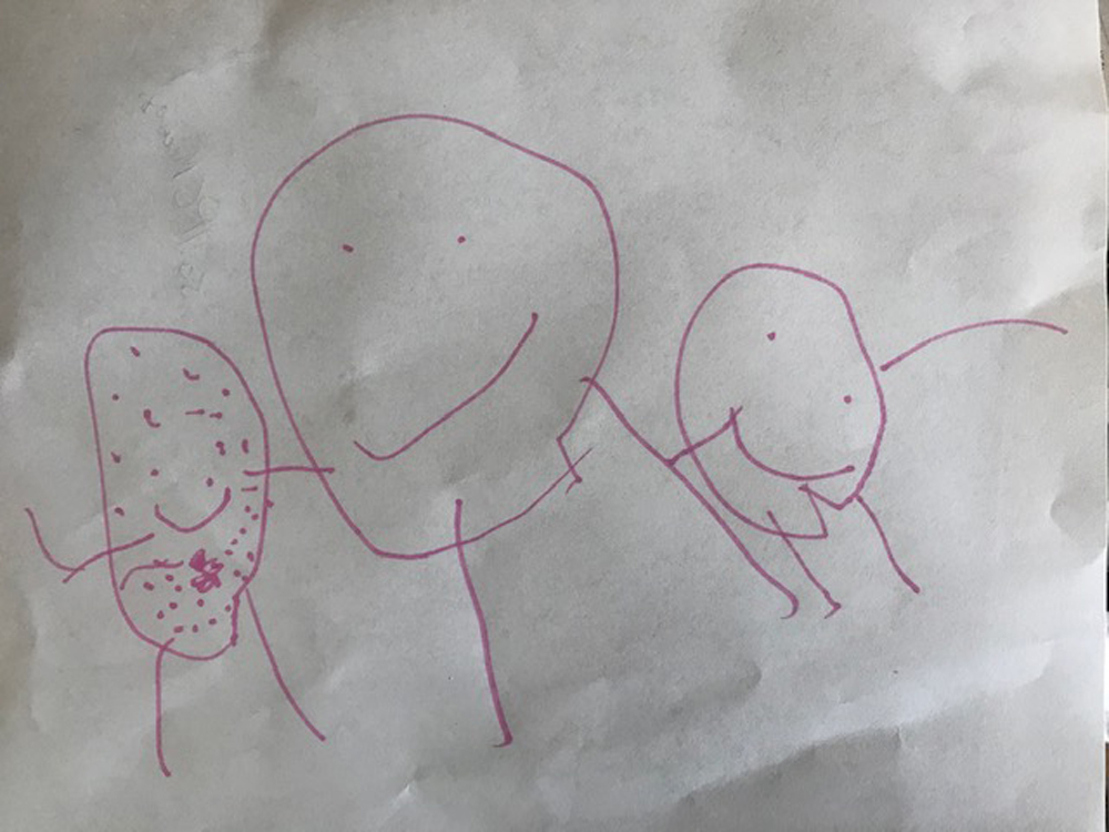 A child's drawing. On a white sheet of computer printer paper are three pink circles with arms, legs, and faces. Photo by Darya Shahgheibi.