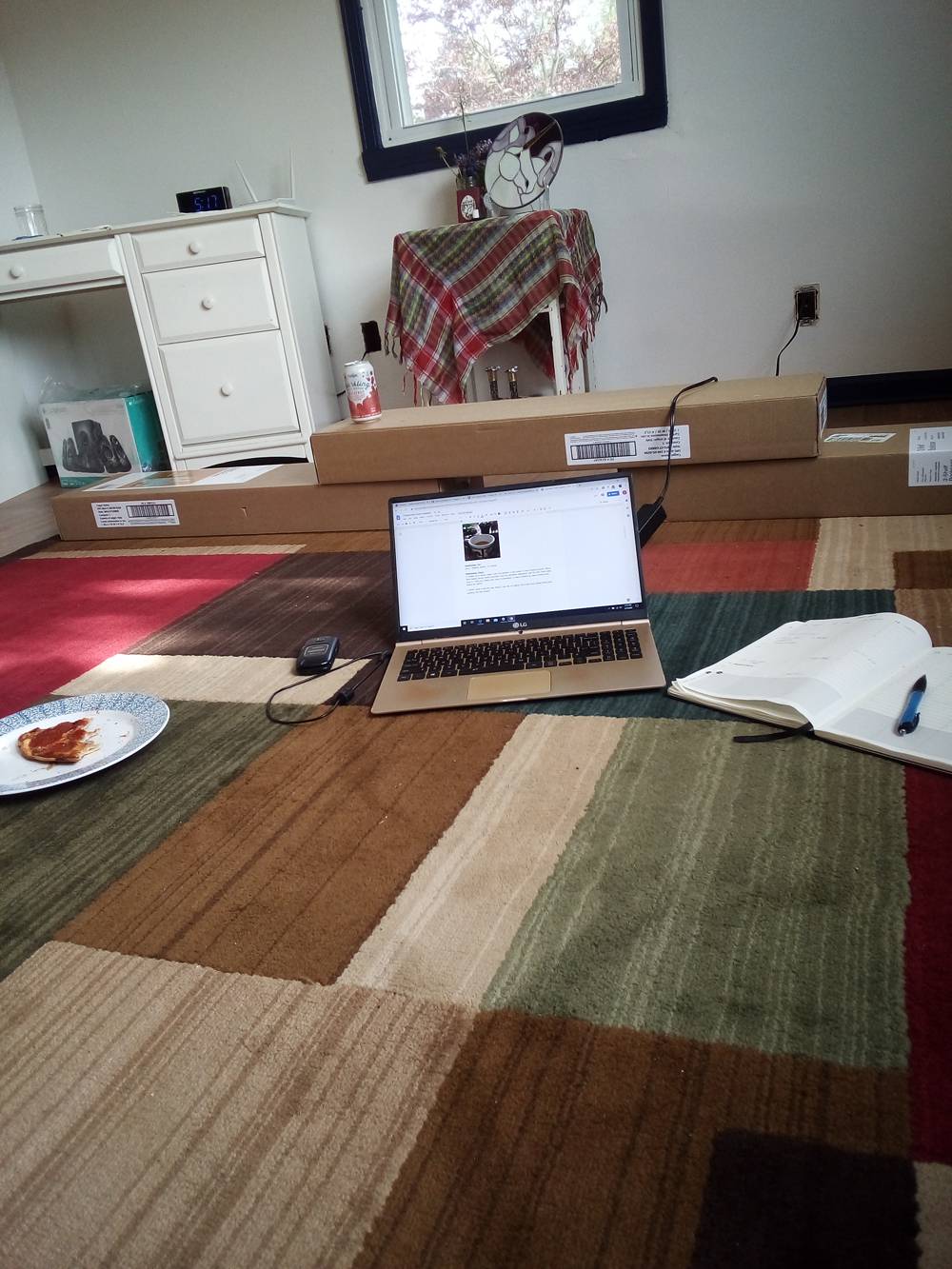 A mostly empty room with a colorful rug. On the floor is a plate with hald eaten slice of frozen pizza, a laptop and an open notebook with a pen on top of it. Photo by Zev Alexander. 