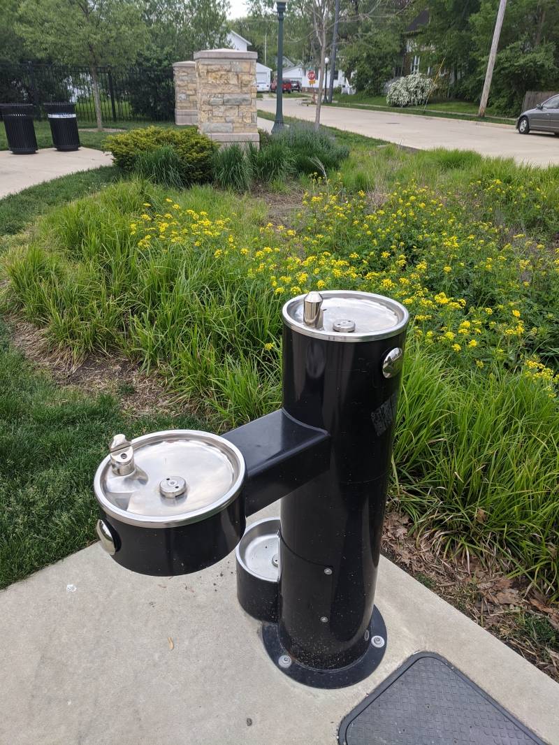 A black cylindrical water fountain with levels for an adult, child, and pet. It's on a concrete slab and there is a patch of grass and yellow flowers behind it. Photo by Tom Ackerman.