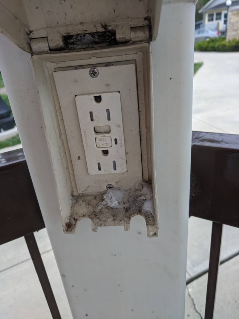 A close up of an outlet. There are spider eggs along the bottom of the outlet cover. Photo by Tom Ackerman. 
