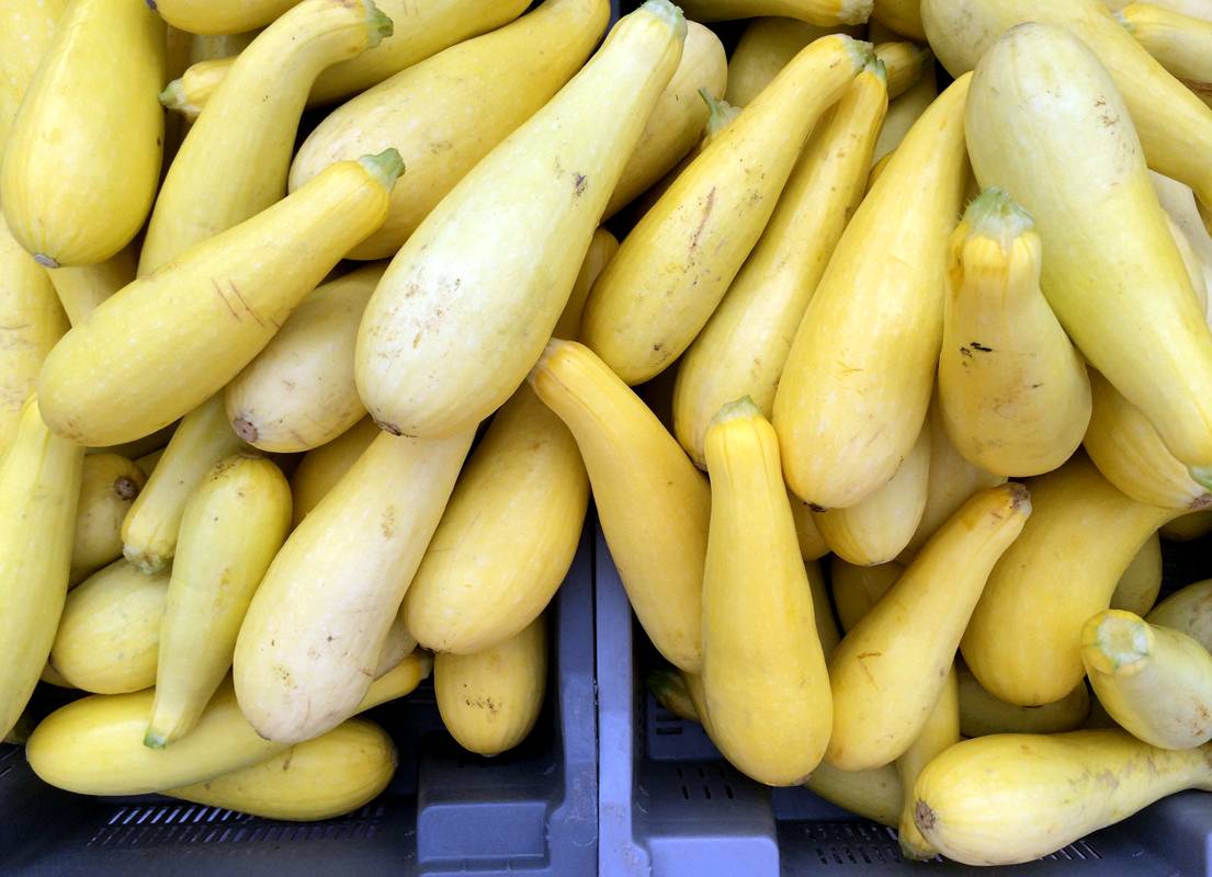 Many yellow squash are piled up, ready to be sold. Photo by Jessica Hammie.
