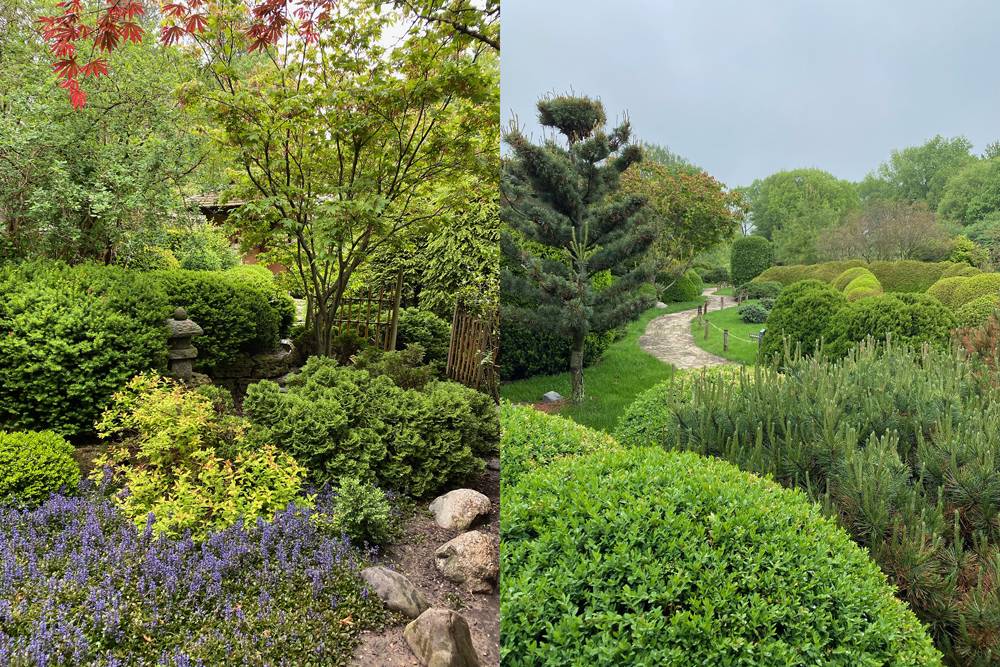Two vertical images next to each other. Both are photos of the Japan House gardens. Photo by Jennifer Gunji-Ballsrud.