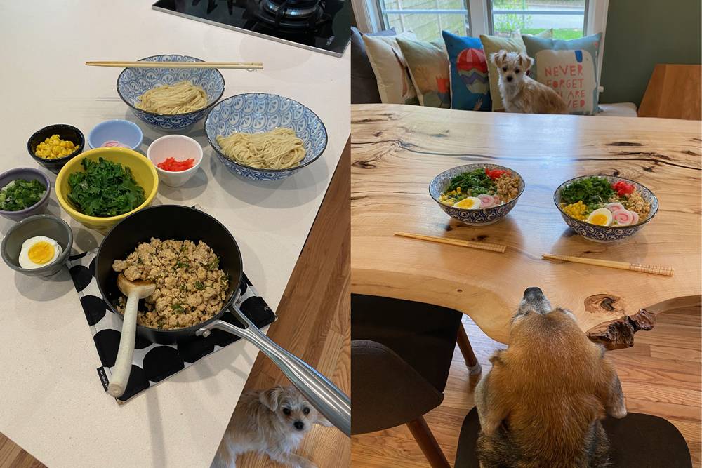 Two vertical images next to each other. On the left, a countertop with various small dishes to assemble ramen, including two bowls with noodles, and smaller bowls with egg, corn, and greens. On the right, a dining table with two bowls of assembled ramen. An old beagle sits on a chair in front of the assembled bowls, and a small white puppy sits across the table on a bench, looking into the camera. Photo by Jennifer Gunji-Ballsrud. 