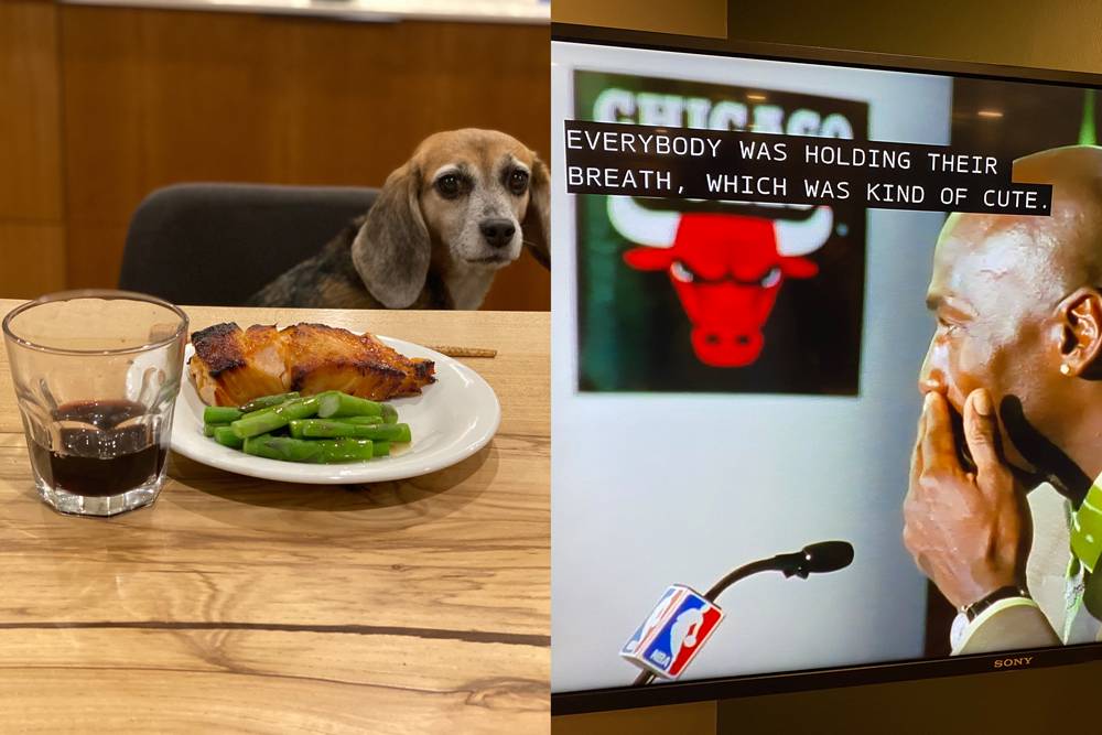 Two vertical images next to each other. On the left, a dinner plate on a dining room table. On the plate are salmon and asparagus. There is a glass of red wine. An old beagle sits on a chair in front of the place setting, and looks in to the camera. On the right is a photo of a television screen playing ESPN's 