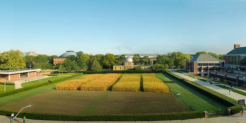 Overhead view of Morrow Plots, with corn planted. The Undergraduate Library is on one side, the silver dome of the observatory is in the background. Photo from Illinois Aces website.