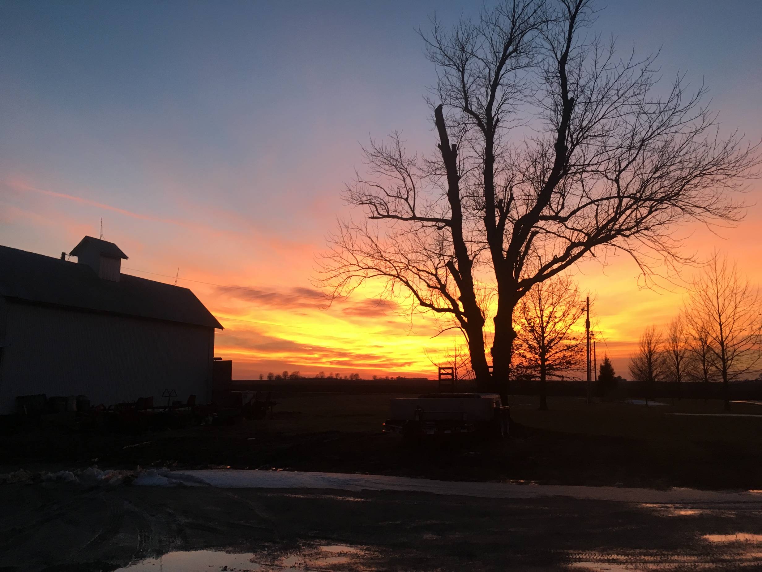 A view of the remarkable CU sunset alongside some Blue Moon Farm barns. 