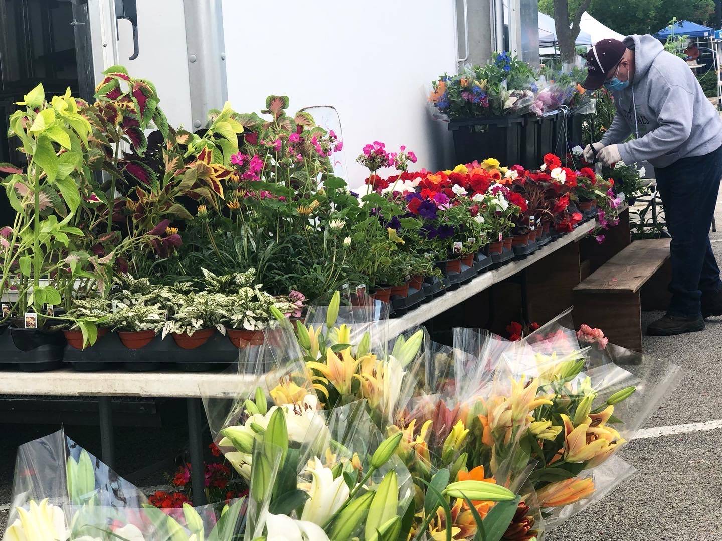 A lot of flowers are on a table and several on the parking lot concrete as a worker gathers flowers to sell to a buyer at the farmers market. Photo by Alyssa Buckley.