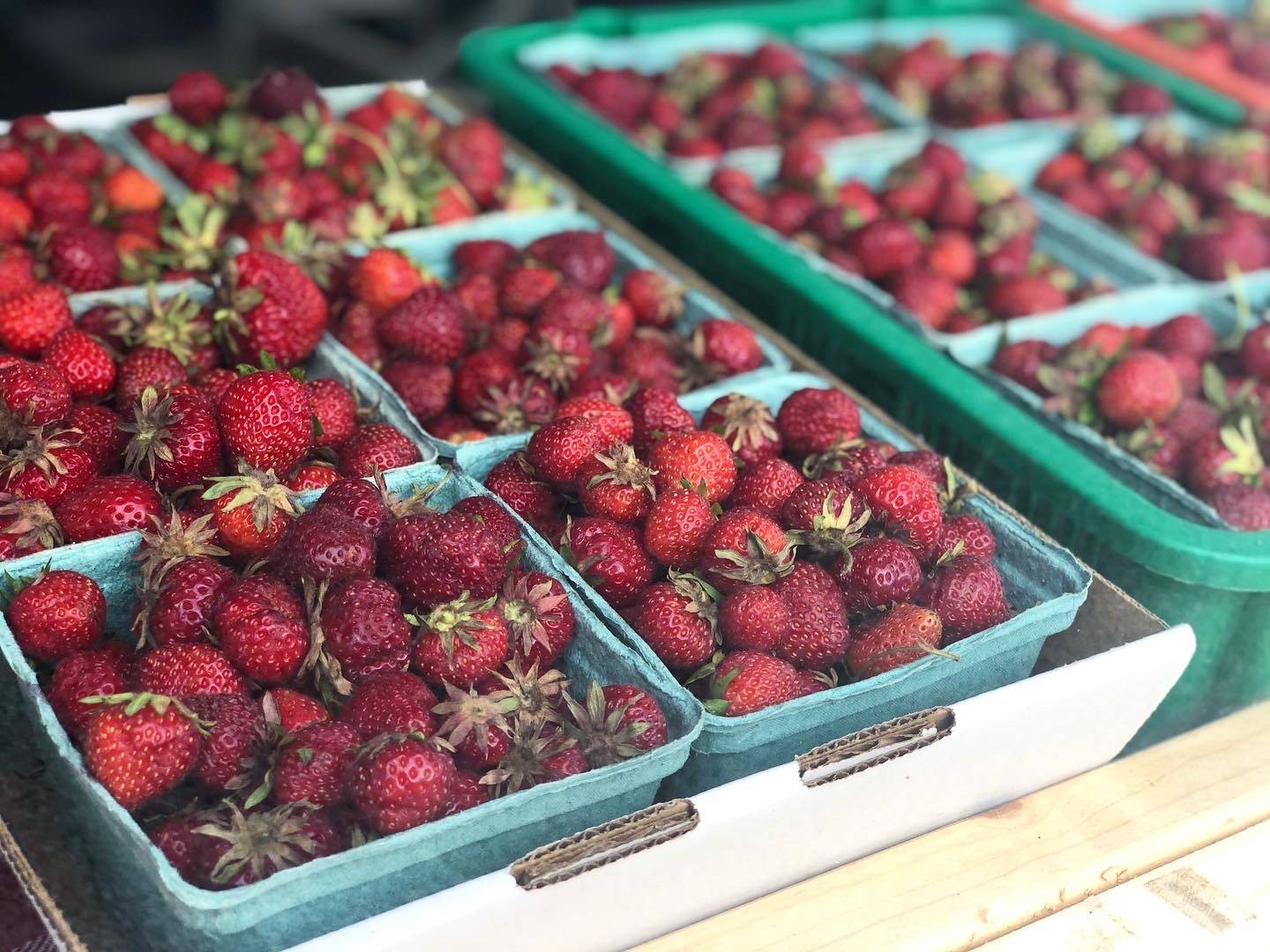 Several pints of strawberries are lined up inside a paper box at the farmers' market. Photo by Alyssa Buckley.