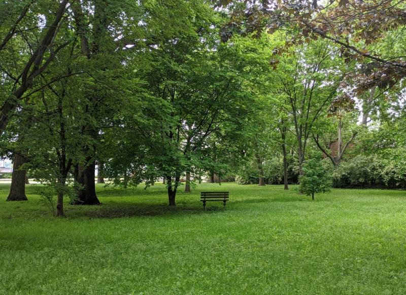 A park bench sits in the distance in a grassy area, surrounded by mature, leafy trees. Photo by Katriena Knights.