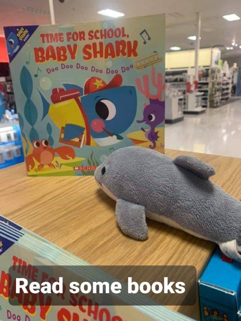 A gray and white stuffed dolphin is sitting on a wooden shelf, in front of a picture book about Baby Shark. Photo by Amy Mayfield. 