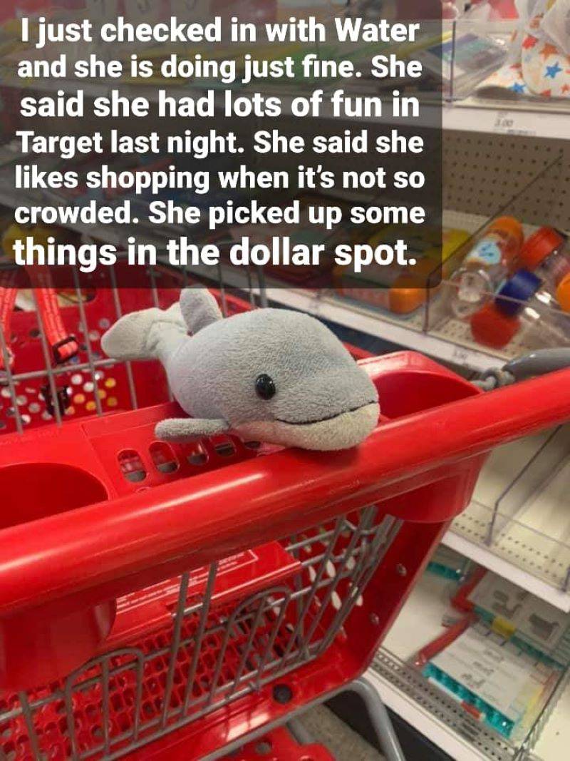 A gray and white stuffed dolphin is perched in the seat of a red shopping cart. Photo by Amie Mayfield.