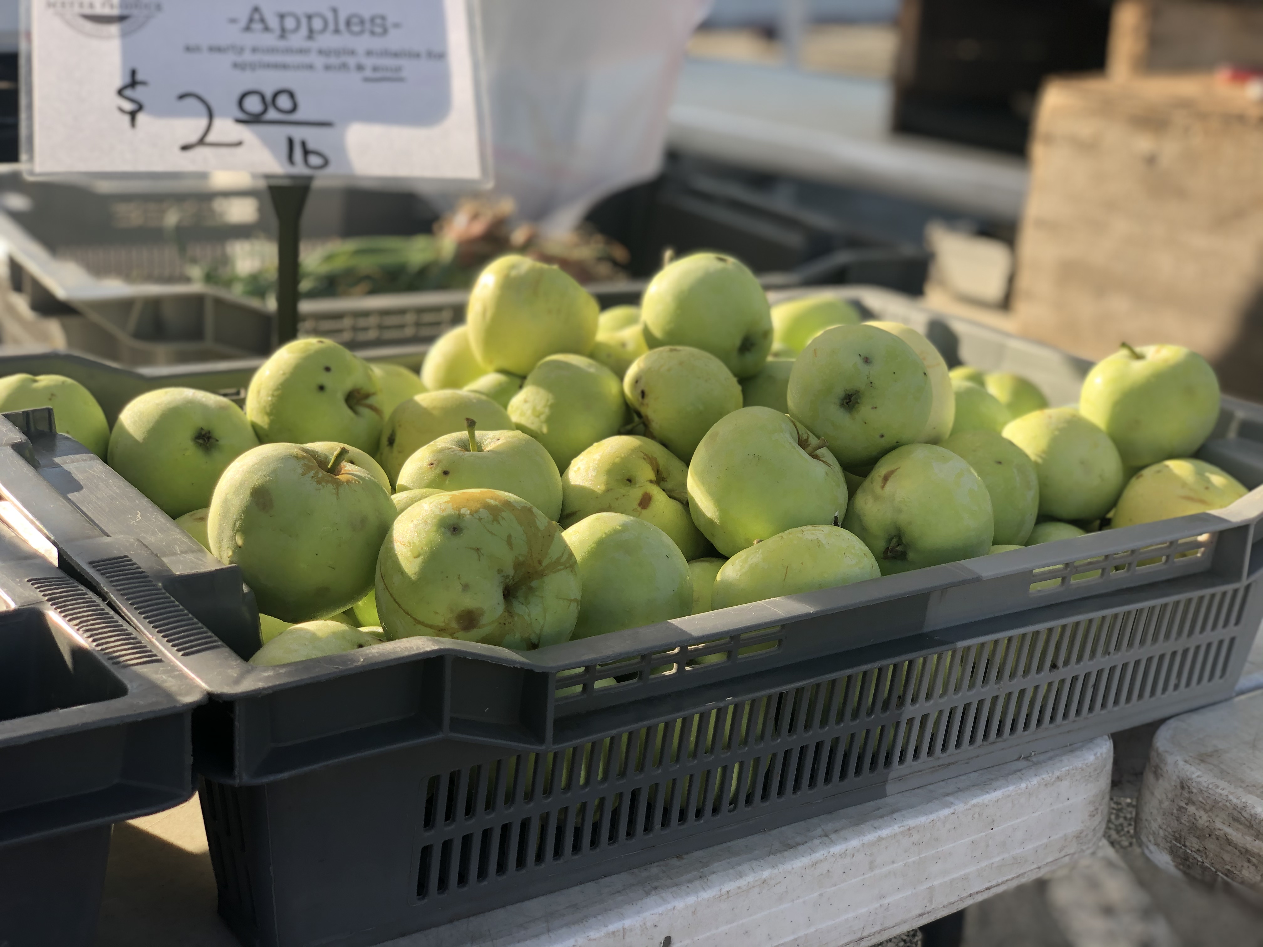 A gray container holds yellow apples at the Urbana's Market in the Square. Photo by Alyssa Buckley.