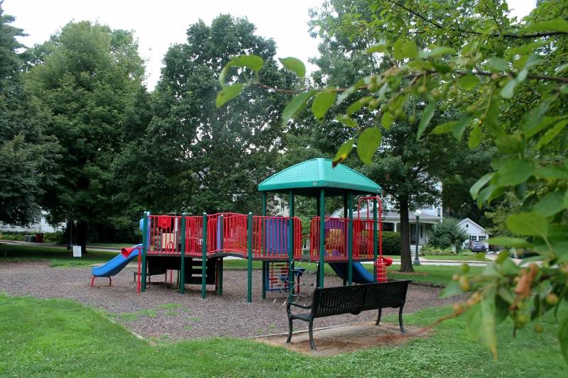 An image of a small blue and red children's play structure, surrounded by mature leafy green trees. Photo by Maddie Rice.