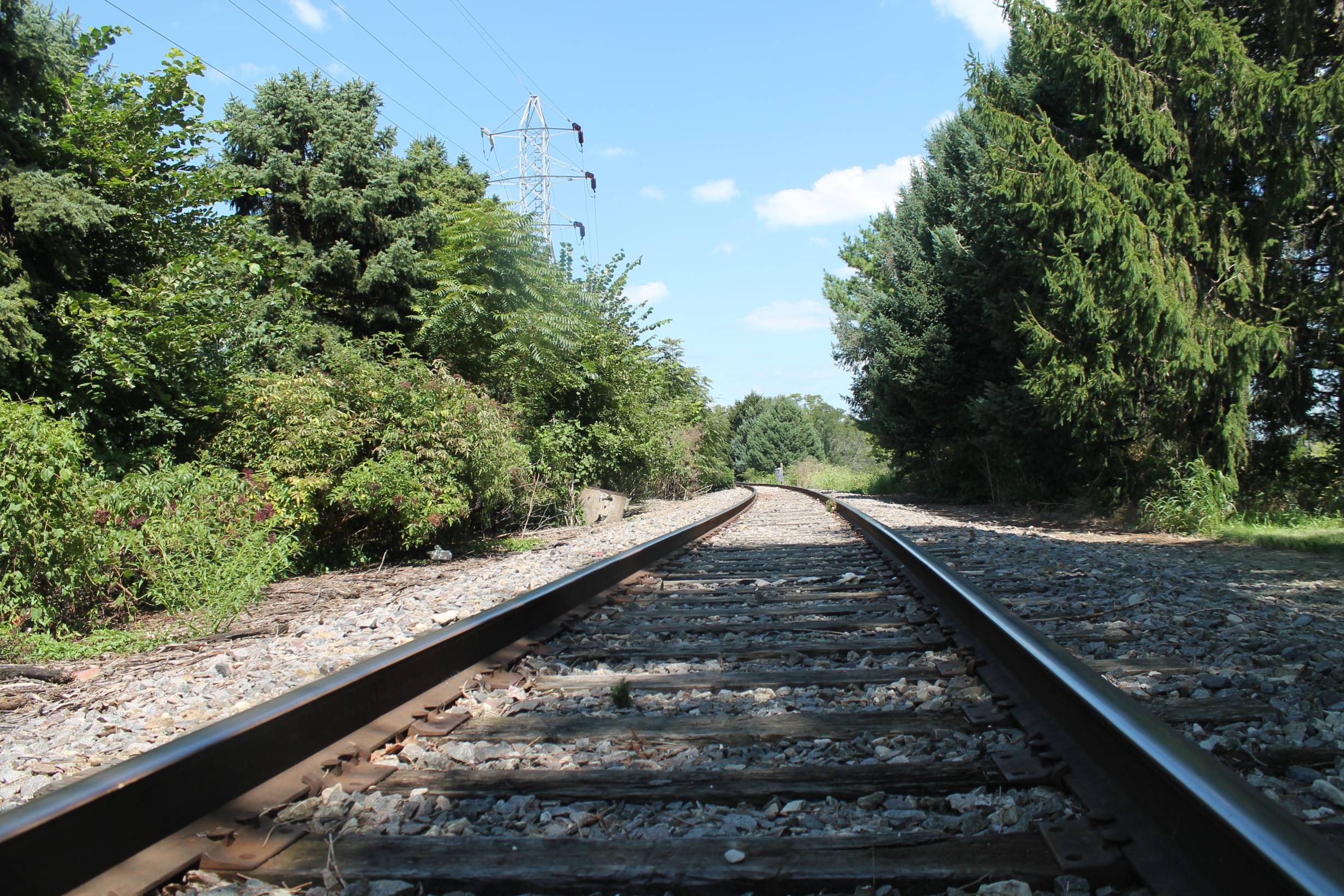 A picture of railroad tracks next to Kaufman Lake park 