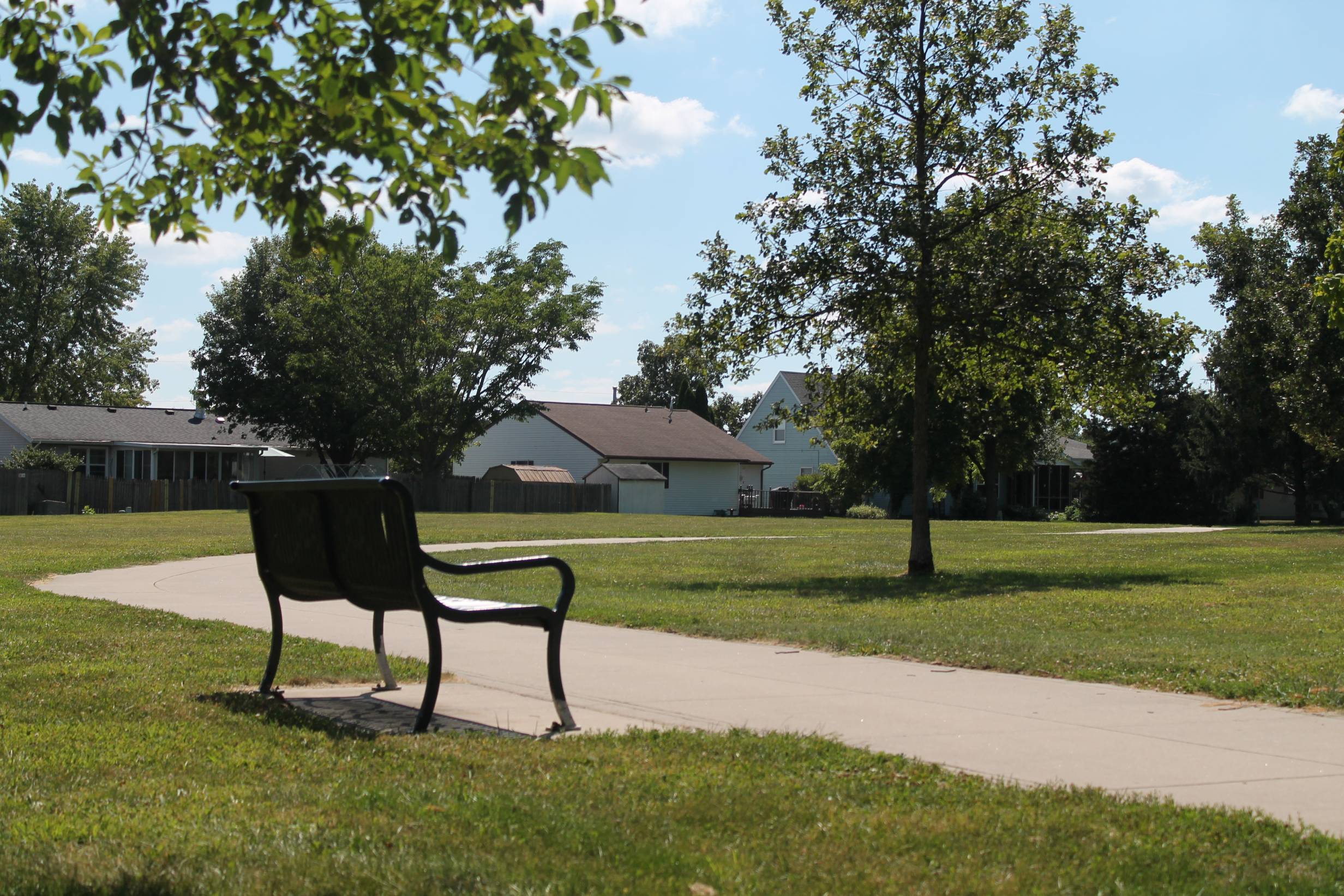A photo of a walking path in a park with a sitting bench in the foreground 