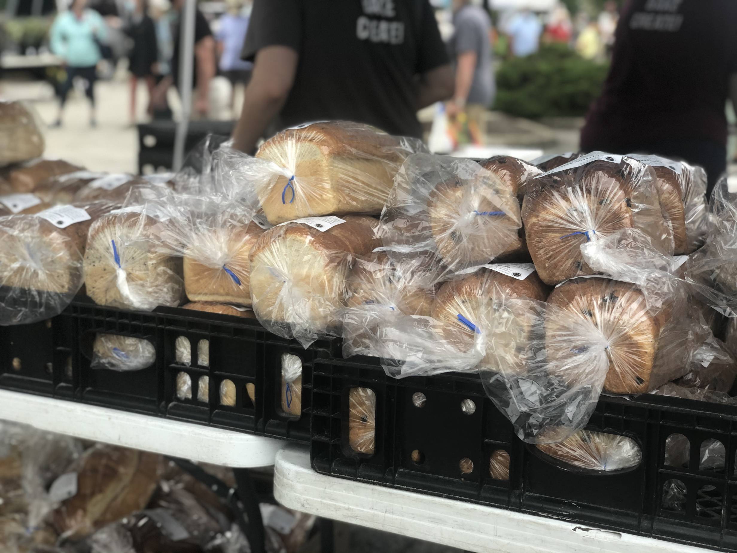 Black containers hold loaves of fresh bread, wrapped in plastic cellophane, tied with little blue twist-ties. Photo by Alyssa Buckley.