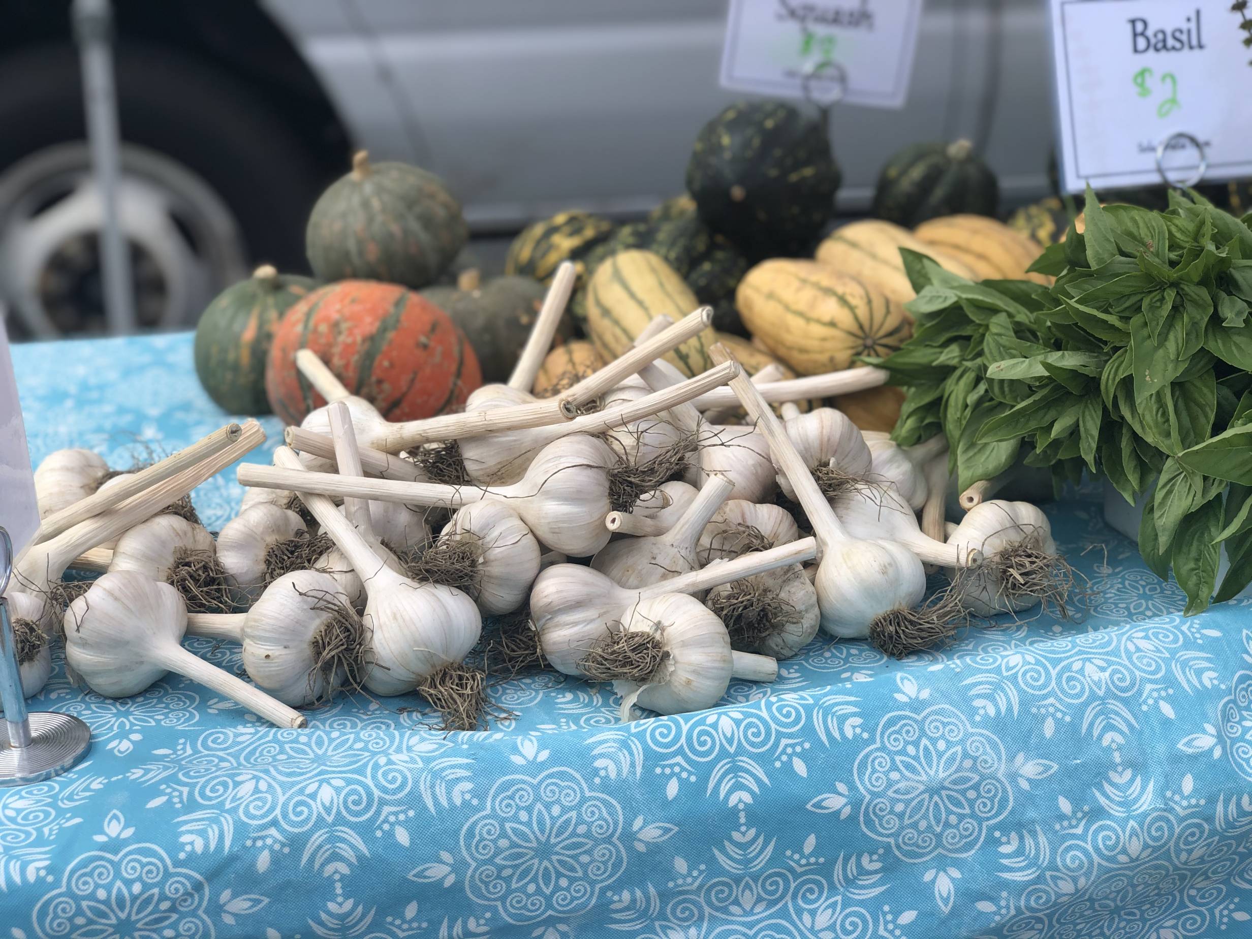 Many garlics sit on a table in a pile next to other produce on a table with a blue tablecloth. Photo by Alyssa Buckley.