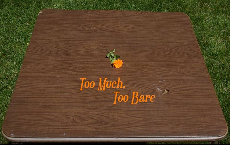 Photo of card table on grass. On top of the table are the words 