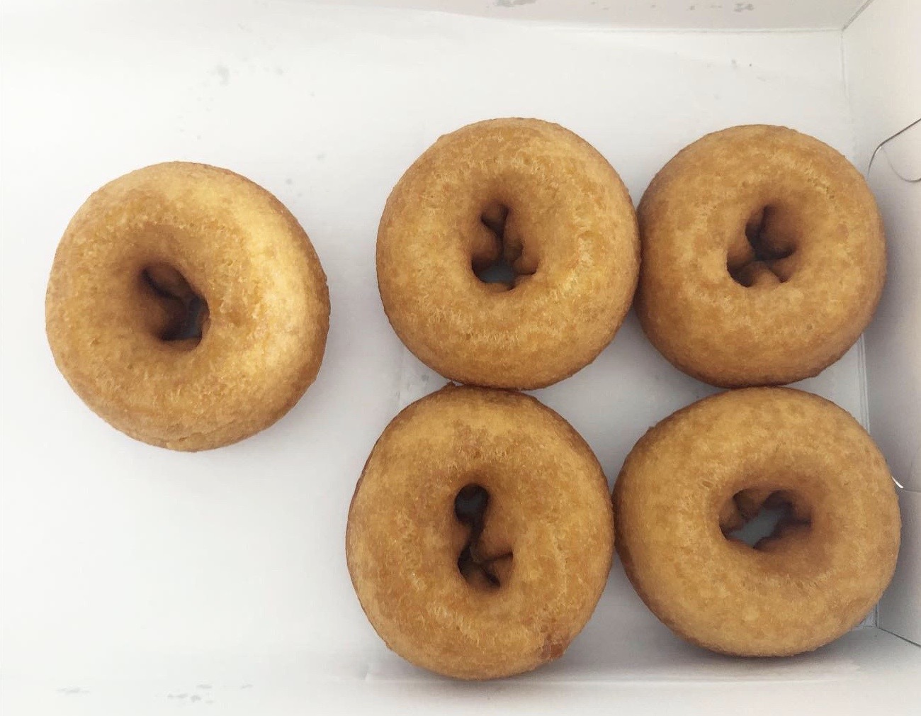 Five naked donuts sit in a donut box from Industrial Donuts in Savoy. Photo by Alyssa Buckley.