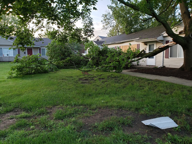 A downed tree branch lays across a yard, in front of two one-story houses. Photo by Andrew Pritchard.