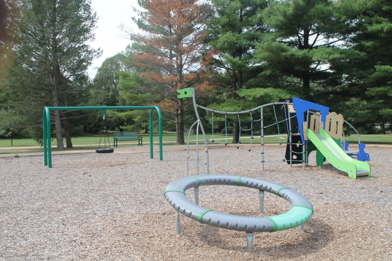 An image of playground equipment at a park