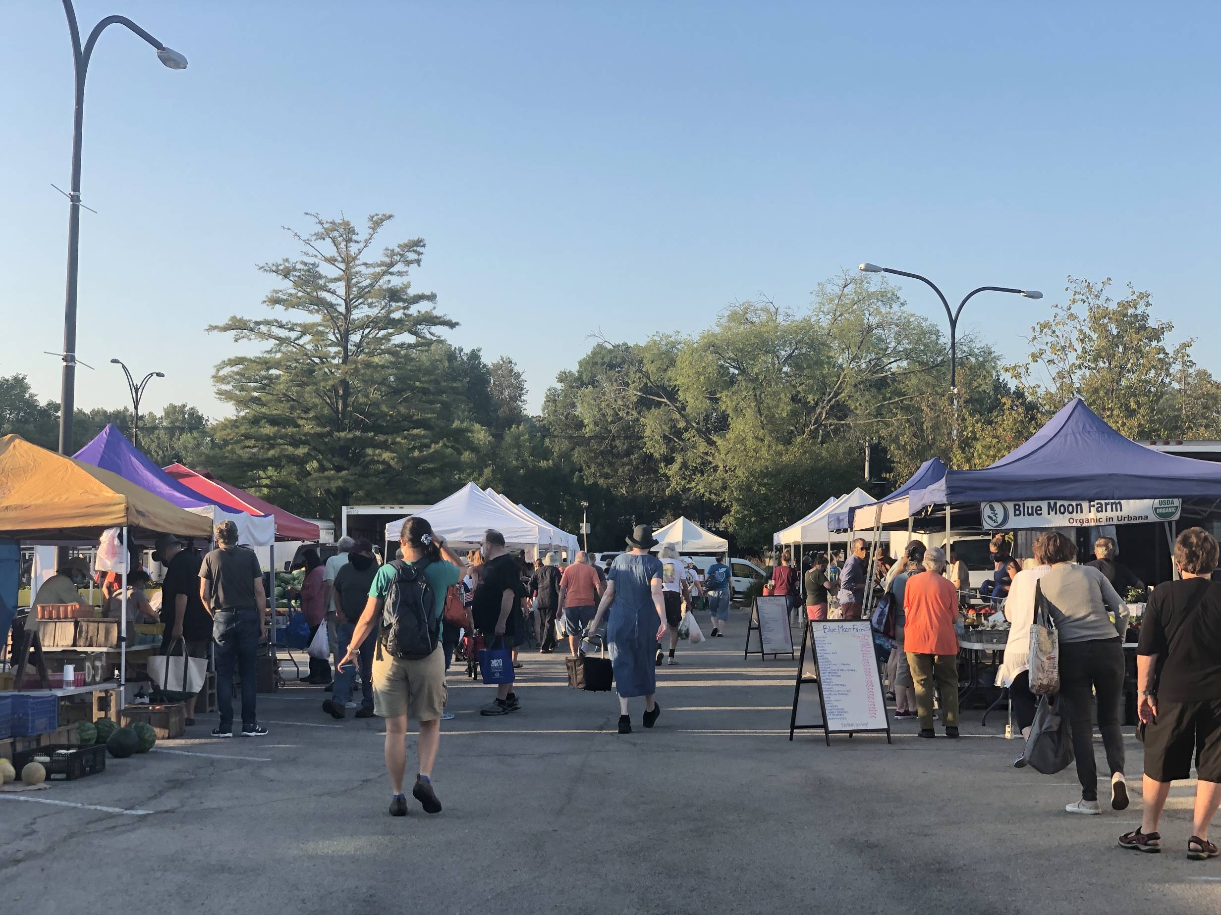A busy Saturday morning at the Urbana Market in the Square with masked shoppers looking and buying produce from tented vendors at the market. Photo by Alyssa Buckley.