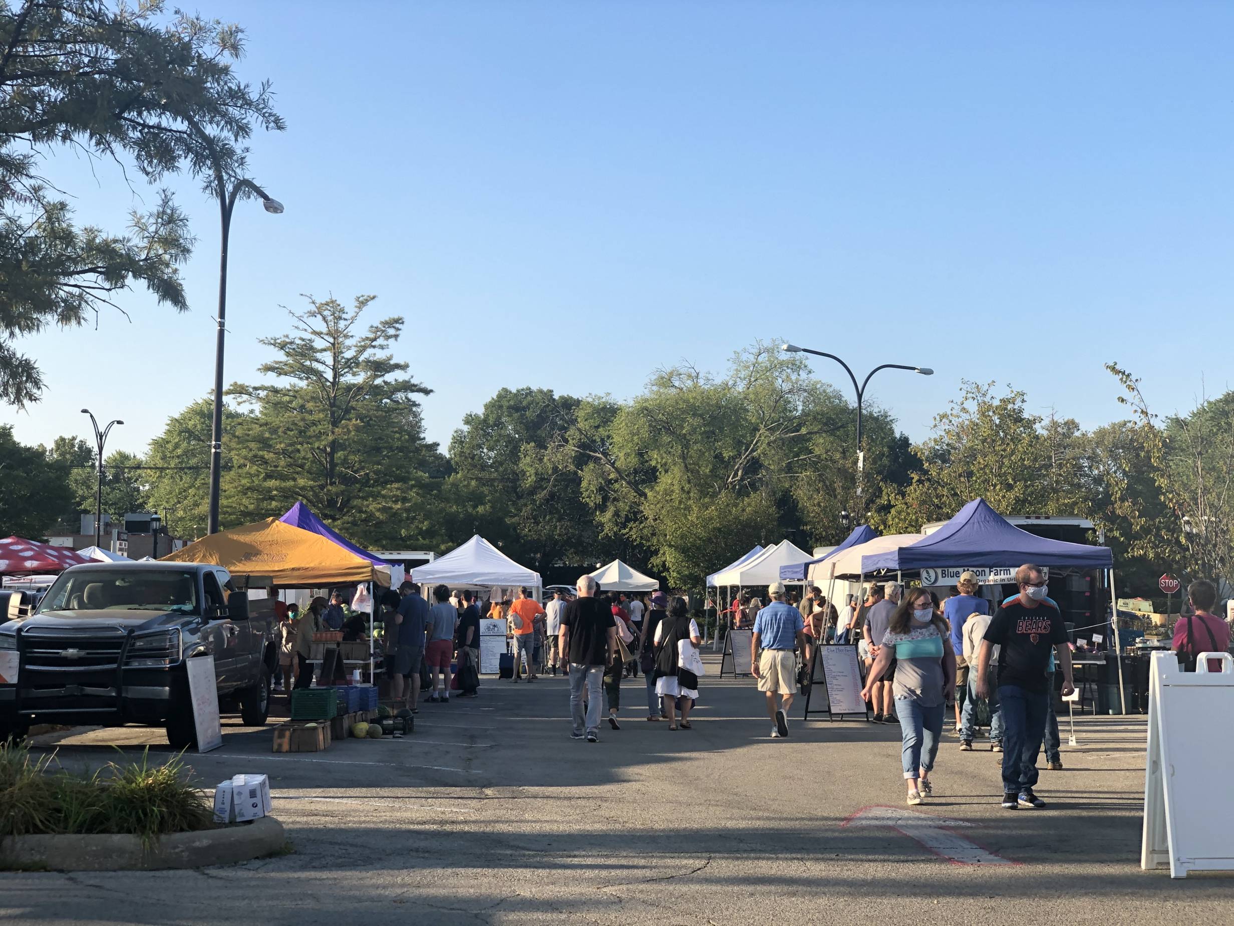A busy Saturday morning at the Urbana Market in the Square with shoppers in masks visiting different vendors' tents in the parking lot of the Lincoln Square Mall. Photo by Alyssa Buckley.