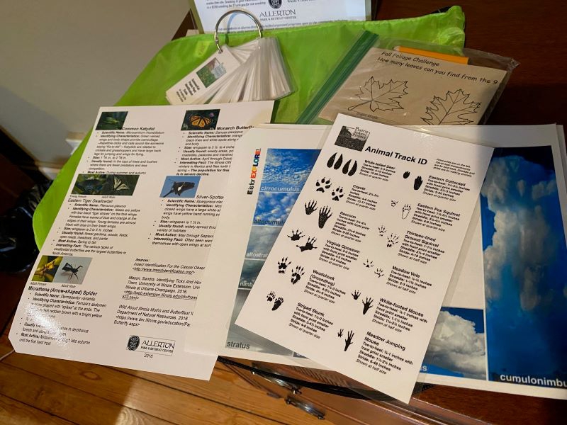 A collection of nature guides are spread out on a wooden dresser. A bright green drawstring bag is underneath them. Photo by Julie McClure.