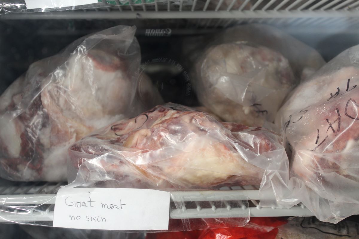 Four plastic bags containing pink and white frozen goat meat sitting atop a white metal shelf within the glassfront freezer.  A sign at the front bottom of image reads 