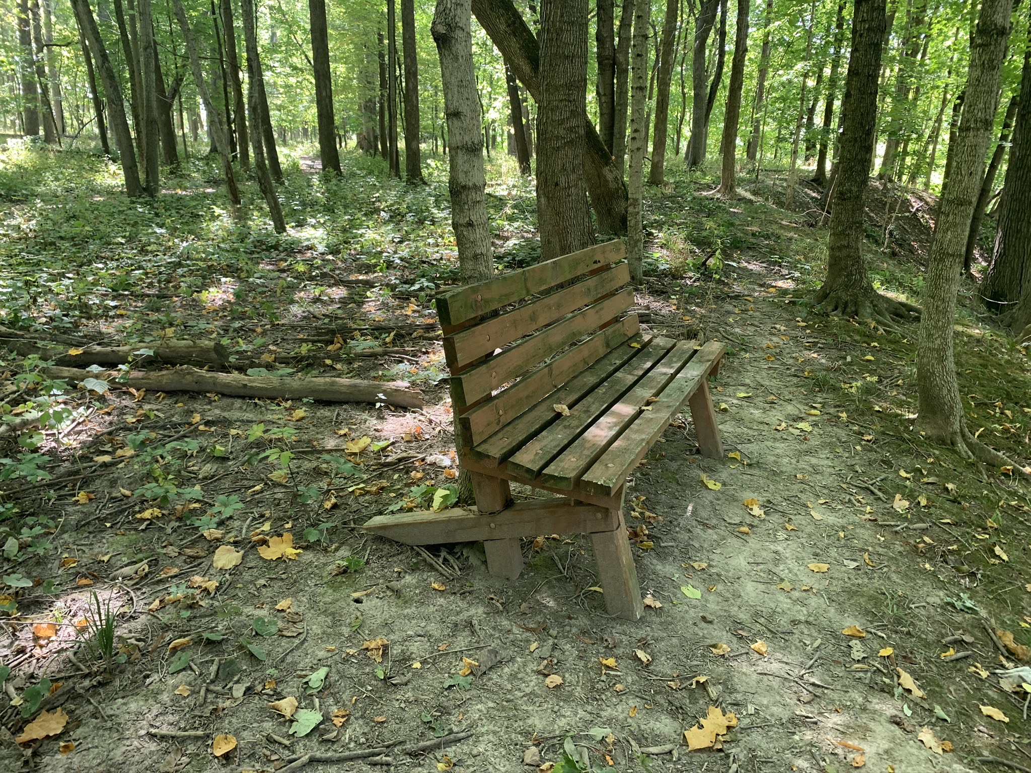 A wooden bench in the forest overlooking the salt fork river.