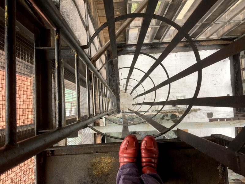 A view from above of a metal ladder surrounded by a circular metal cage. The writer's shoes are visible on a platform overlooking the ladder. Photo by Cope Cumpston.