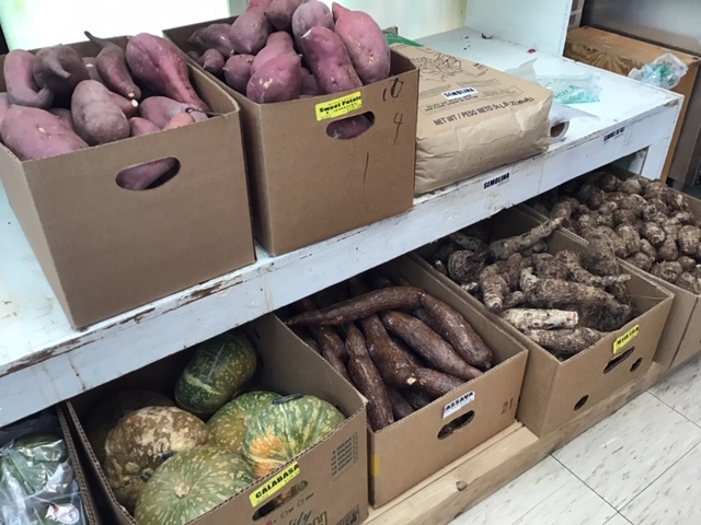 Cardboard boxes filled with various types of produce sit on low shelves: Bright purple sweet potatoes fill two boxes; one has squat, pumpkin-shaped squash that is green in color with some blooms of orange and white flecks striped throughout; one has large, carrot-shaped cassavas with rough brown skin; two others contain other root vegetables. Photo by Rachael McMillan.