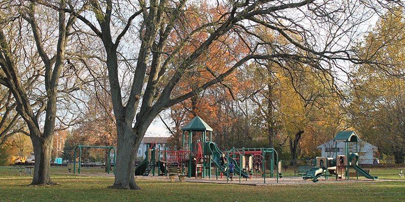 a children's playground surrounded by old trees 
