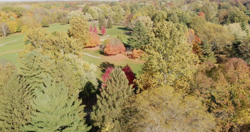 an overhead view of a golf course surrounded by trees