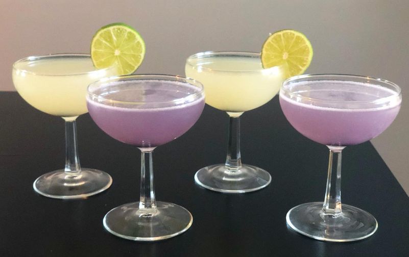 On a black table, there are four cocktails from Hamilton Walkerâ€™s in coupe glasses. Two of the drinks are a light purple color, and two are a pale yellow color garnished with a lime circle. Photo by Alyssa Buckley.