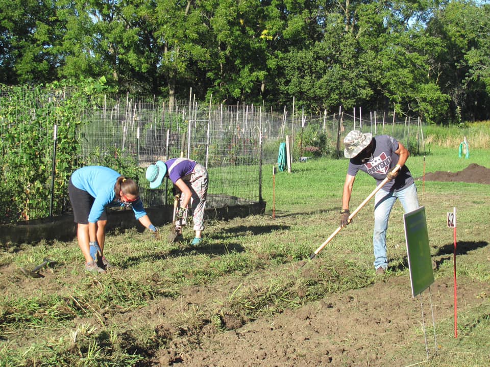 Three people are working in a garden. One man to the right is using a hoe. There are trees and white stakes in the background. Photo from Solidarity Gardens CU Facebook page.