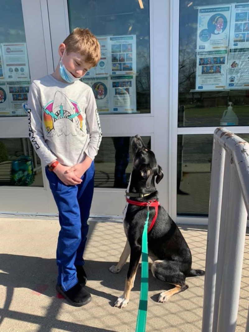 Jackson, a black dog, is sitting and looking up at a boy. Jackson is wearing a red collar and a blue leash. The boy is wearing a shark shirt and is looking down at him with his face mask partially off. Photo by Ellen Byron.